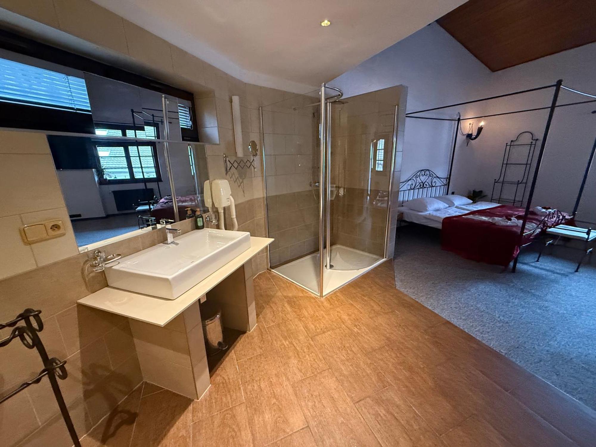 Hotel Plzensky Dvur Frýdek-Místek المظهر الخارجي الصورة